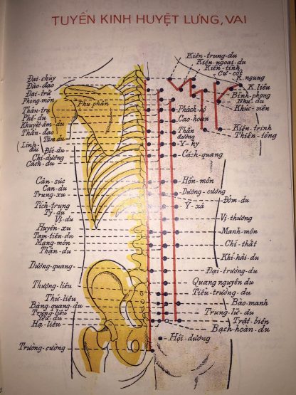 Cẩm Nang Châm Cứu (Sách Tay Cần Yếu Của Châm Y) - Thượng Trúc - Hình ảnh 5