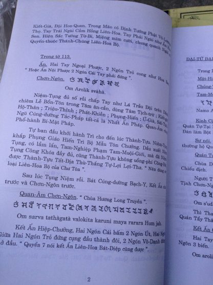 Đại Tạng Nguyên Bản (Kinh Mật Tông) - Nhị Tổ Kim Cang Sư (10 Quyển) - Hình ảnh 15