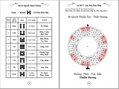 Lai Bố Y Cửu Tinh Thủy Pháp - Nguyễn Thành Phương - Hình ảnh 2