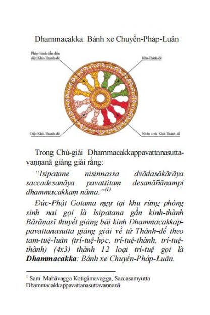 Kinh Chuyển Pháp Luân (Bài thuyết pháp đầu tiên của Đức Phật Thích Ca) - Ngài Đại Trưởng Lão Tỳ Khưu Hộ Pháp - Hình ảnh 4