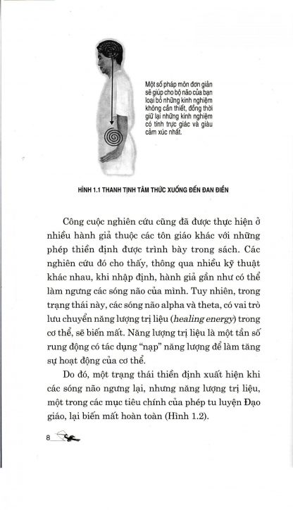 Bí Thuật Đạo Giáo Trí Năng Khí Công - Mantak Chia - Hình ảnh 4