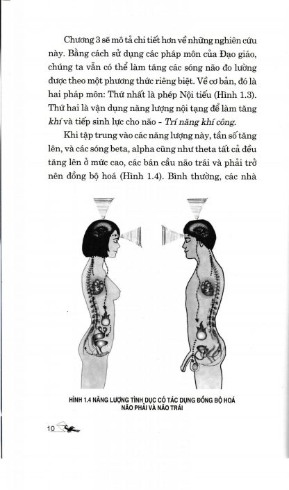 Bí Thuật Đạo Giáo Trí Năng Khí Công - Mantak Chia - Hình ảnh 6