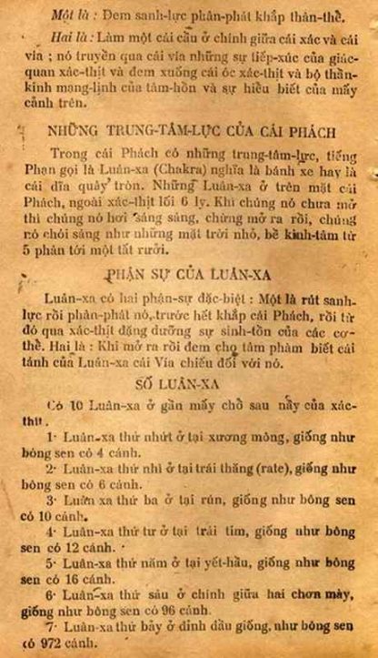 Sách Thông Thiên Học: Thể Phách (Cái Phách) - Bạch Liên - Hình ảnh 3