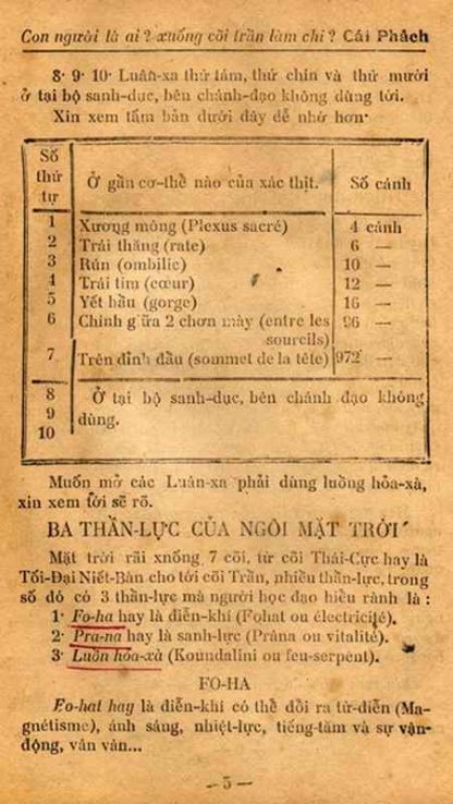 Sách Thông Thiên Học: Thể Phách (Cái Phách) - Bạch Liên - Hình ảnh 4