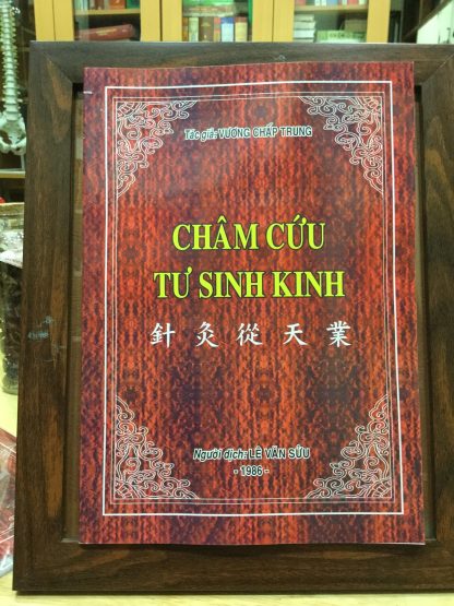 Châm Cứu Tư Sinh Kinh - Vương Chấp Trung