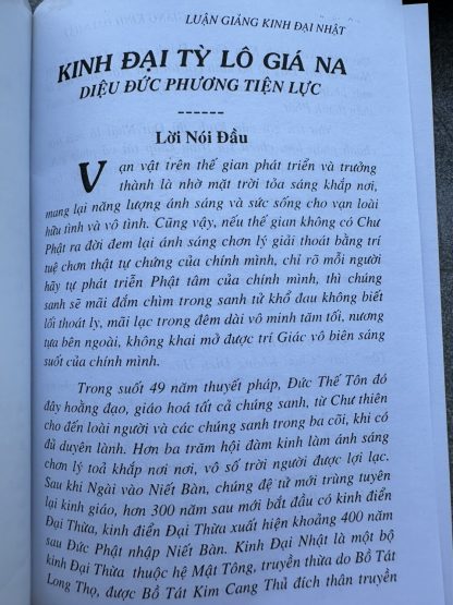 Kinh Đại Nhật (Đại Tỳ Lô Giá Na) - Tỳ Kheo Thích Huệ Đăng (Trọn Bộ 2 Tập) - Hình ảnh 13