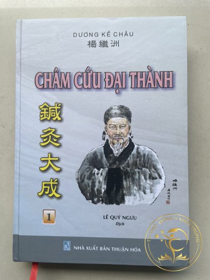 Châm Cứu Đại Thành – Dương Kế Châu (Lê Quý Ngưu Dịch 3 Tập) - Hình ảnh 2