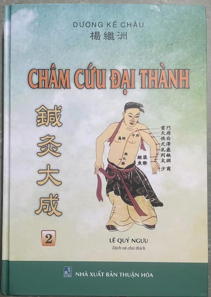 Châm Cứu Đại Thành – Dương Kế Châu (Lê Quý Ngưu Dịch 3 Tập) - Hình ảnh 4