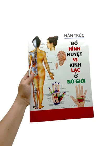 Đồ Hình Huyệt Vị Kinh Lạc Ở Nữ Giới - Hán Trúc