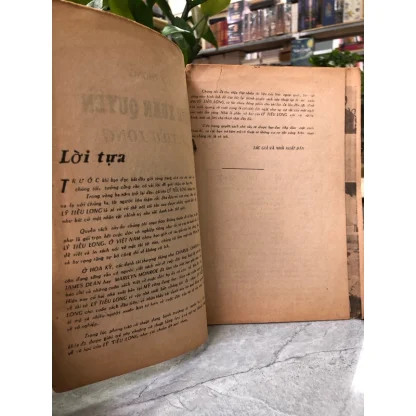 Vĩnh Xuân Quyền Lý Tiểu Long - Lôi Phong - Ảnh 2