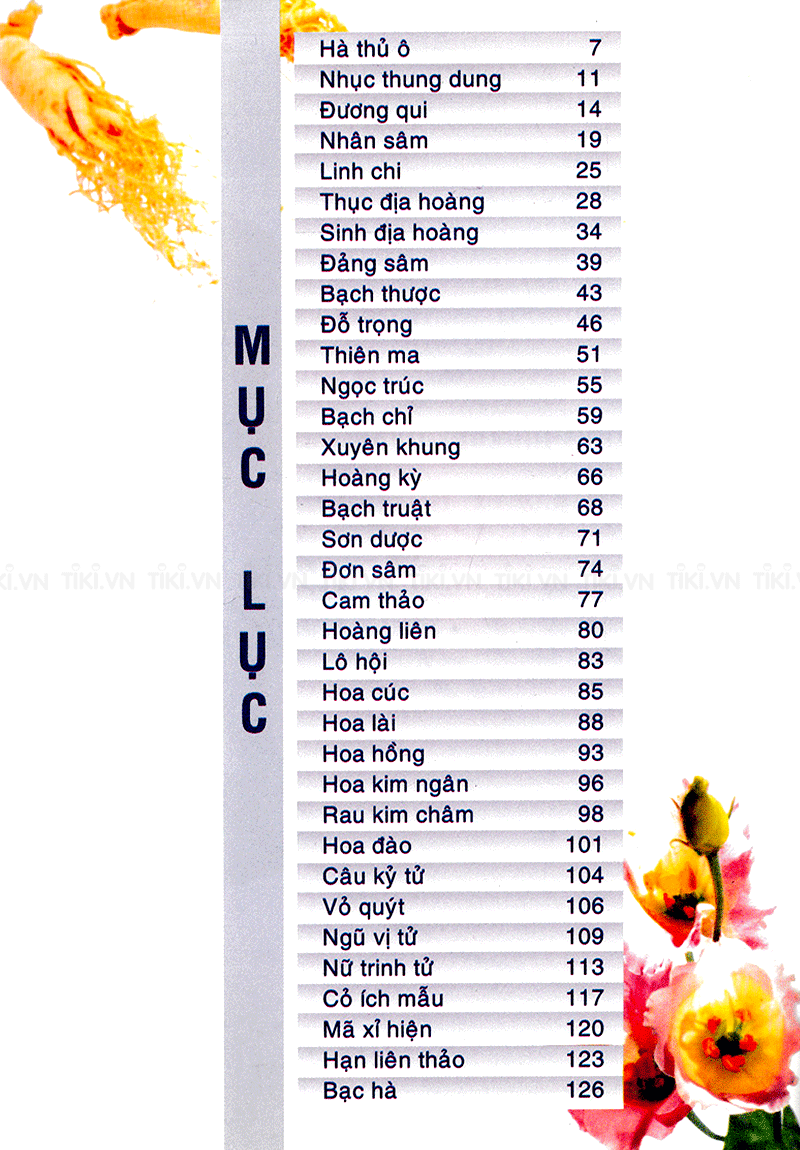 Những Phương Thuốc Làm Đẹp Từ Cây Thuốc Nam - Thiên Kim - Ảnh 2