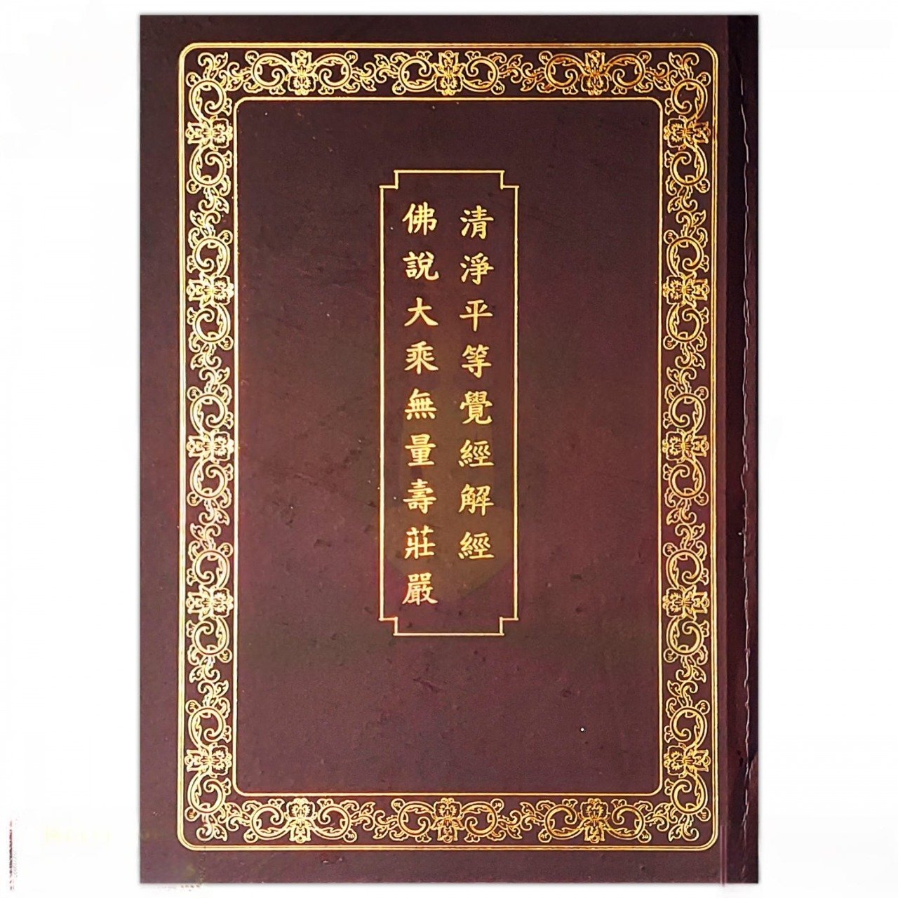 Chú Giải Phật Thuyết Đại Thừa Vô Lượng Thọ Trang Nghiêm Thanh Tịnh Bình Đẳng Giác Kinh - Ảnh 2